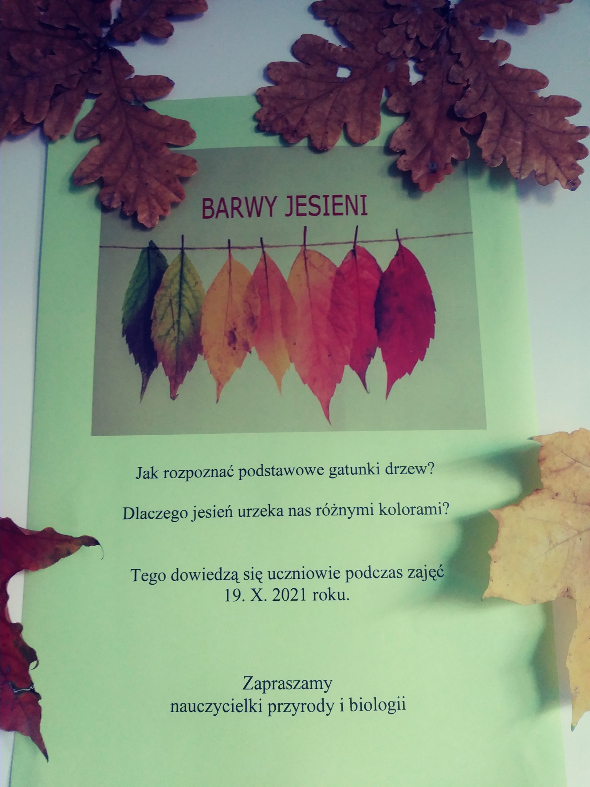 Barwy jesieni