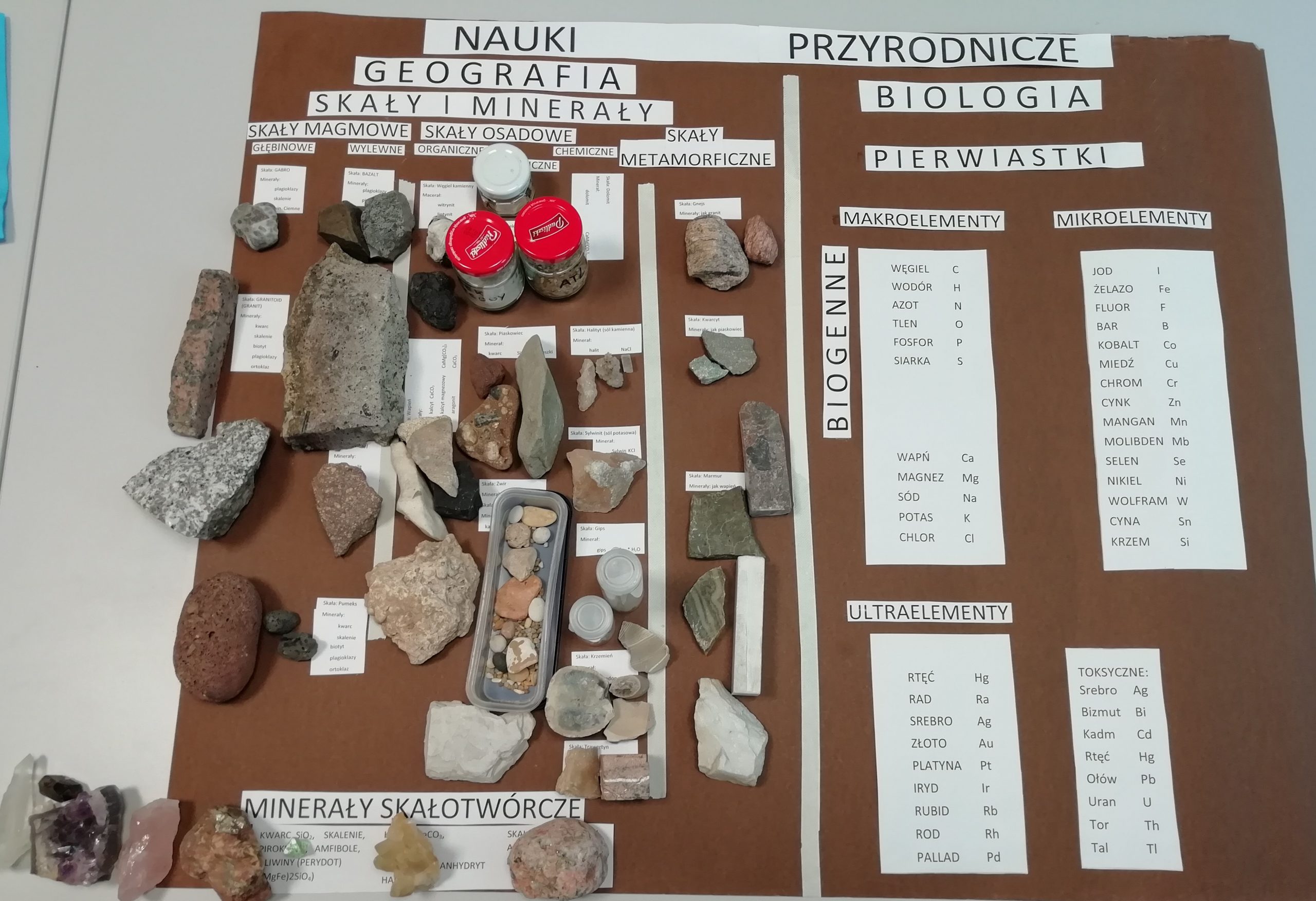 CZY MATERIĘ OŻYWIONĄ BUDUJĄ PIERWIASTKI ZAWARTE W SKORUPIE ZIEMSKIEJ?