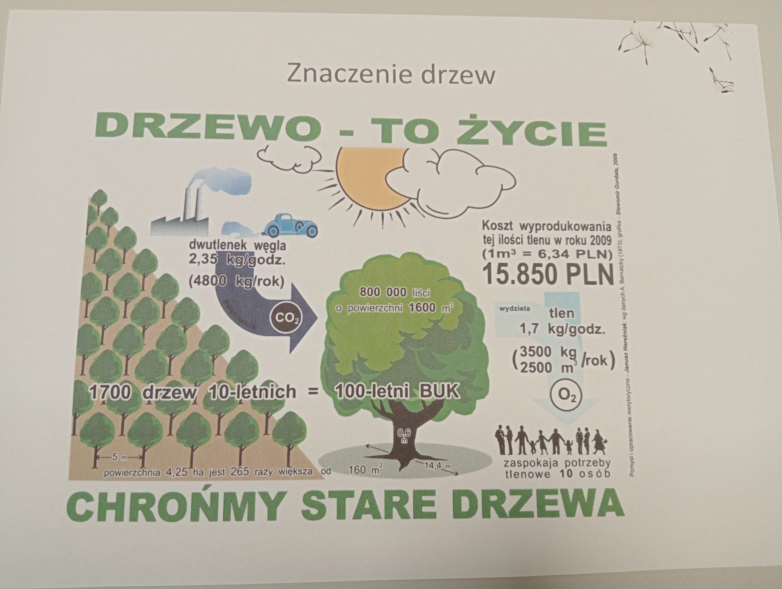 Dzień Czystego Powietrza