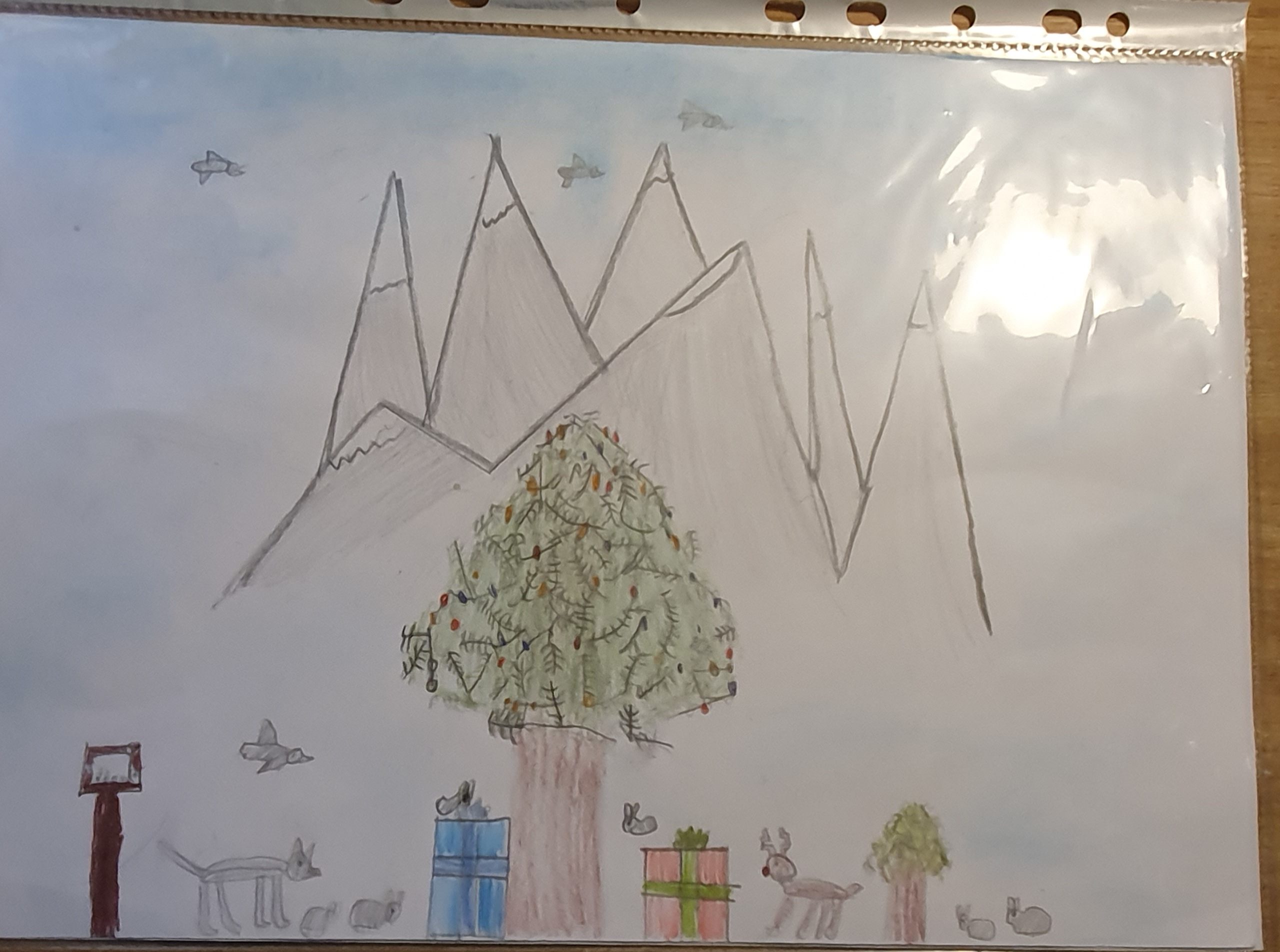 „Nasza choinka 2023”