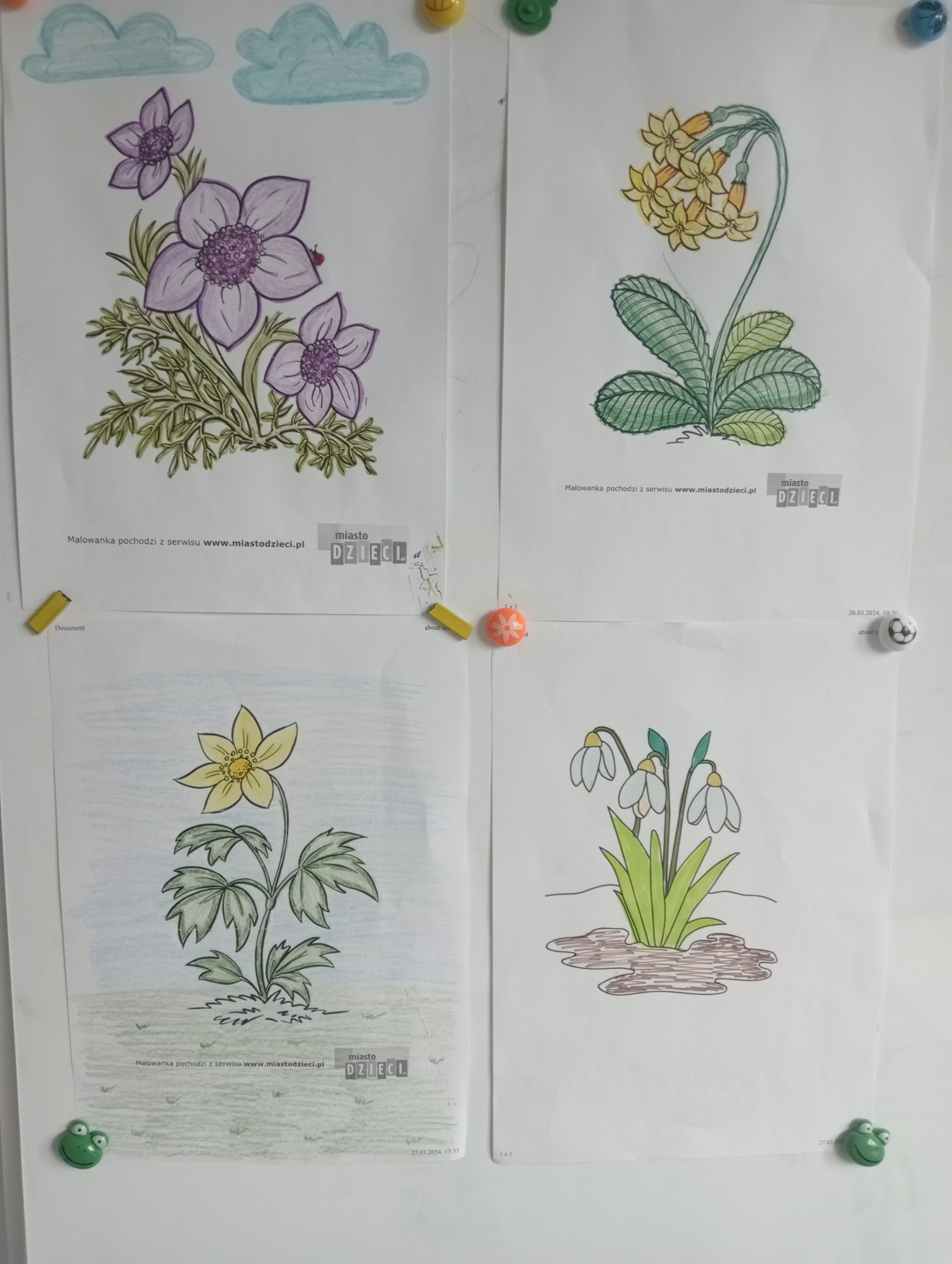 Bądź aktywny i poszukaj wiosny