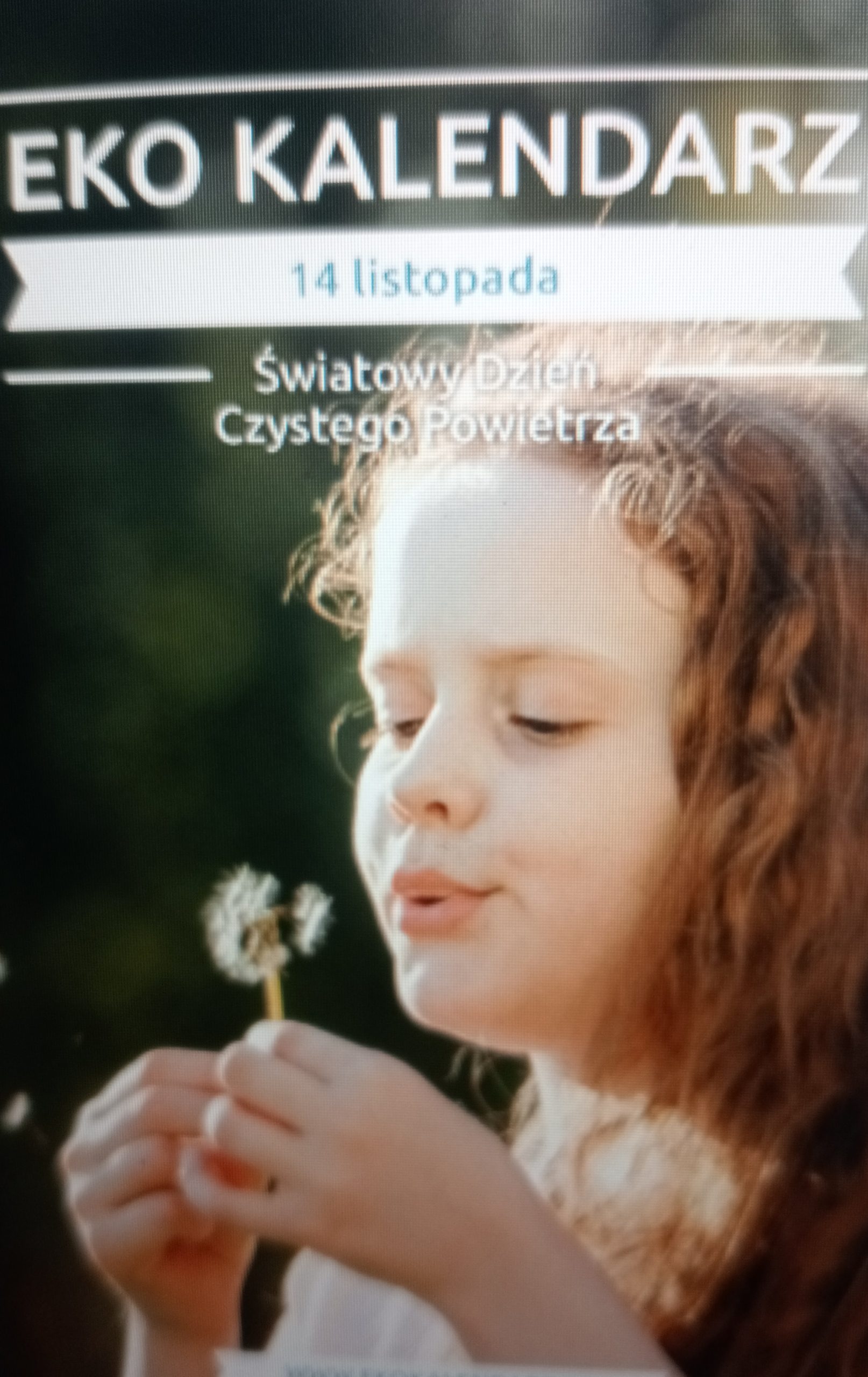 Wpis bez tytułu 5834