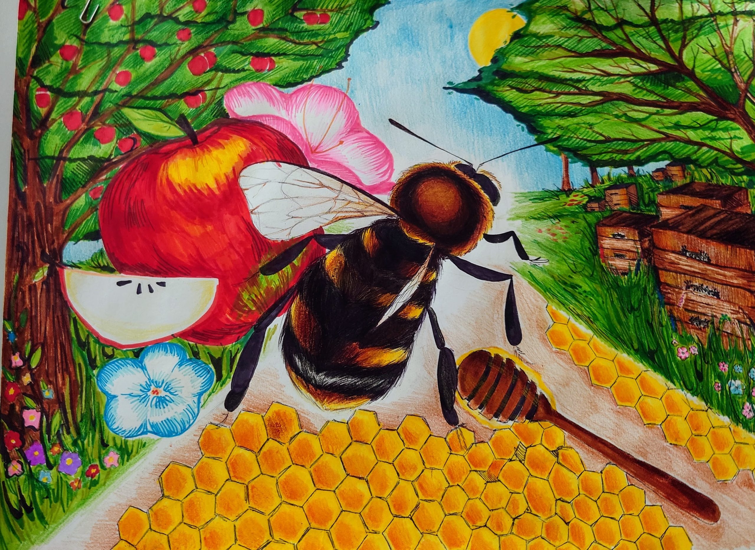 „Pszczoła – cud natury”