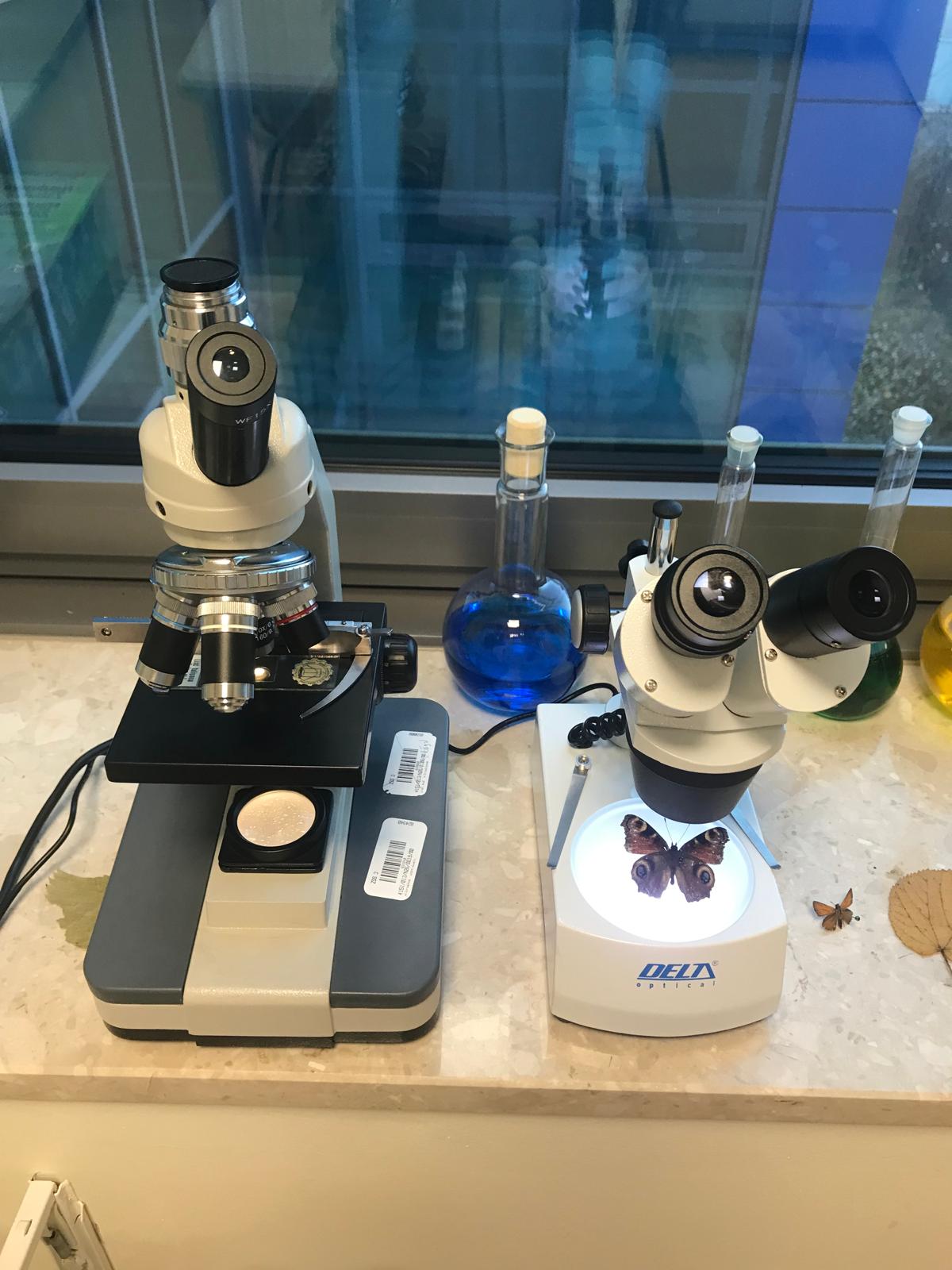 Świat mikro i makro – zajęcia z wykorzystaniem mikroskopów