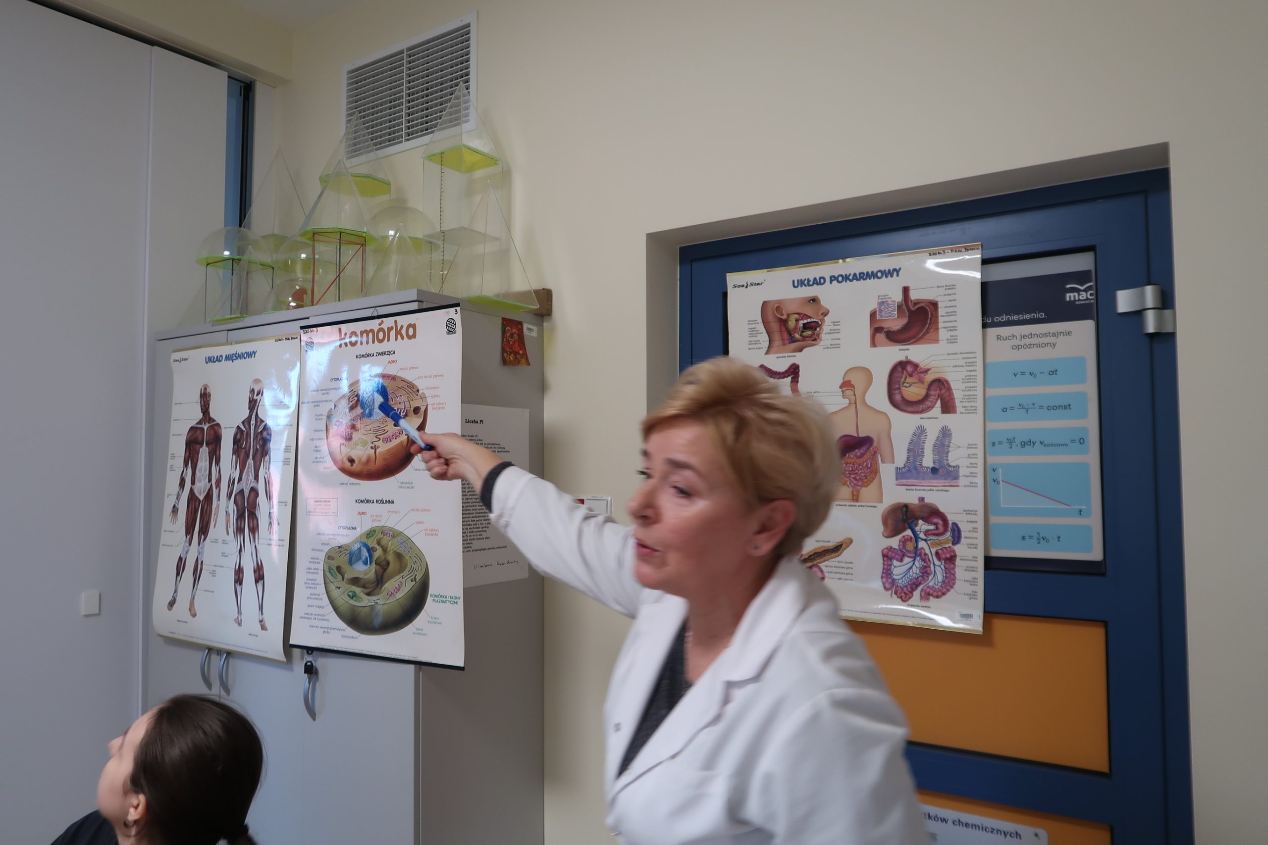 Od pierwiastka do organizmu