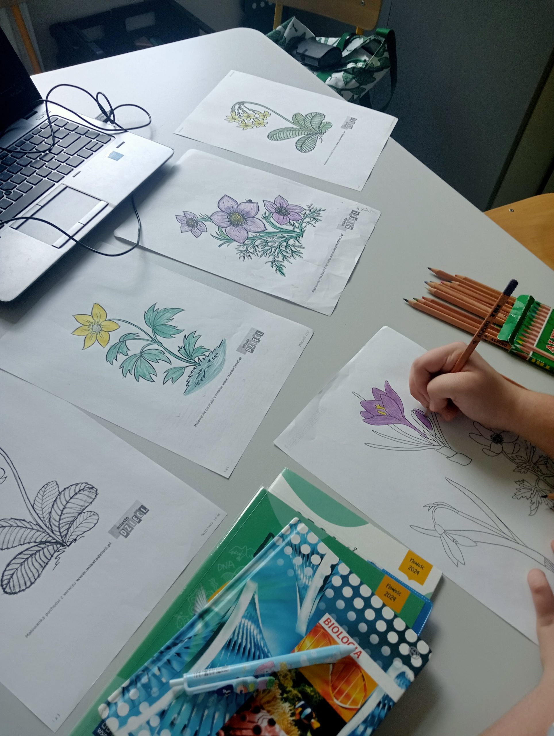 Wpis bez tytułu 6170