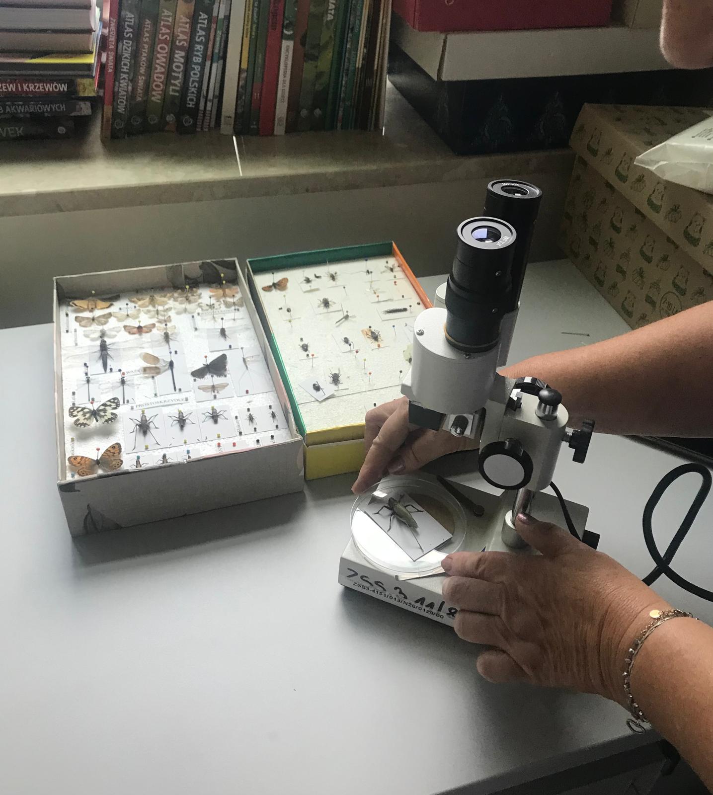 „Świat mikro i makro, zajęcia z wykorzystaniem mikroskopów”